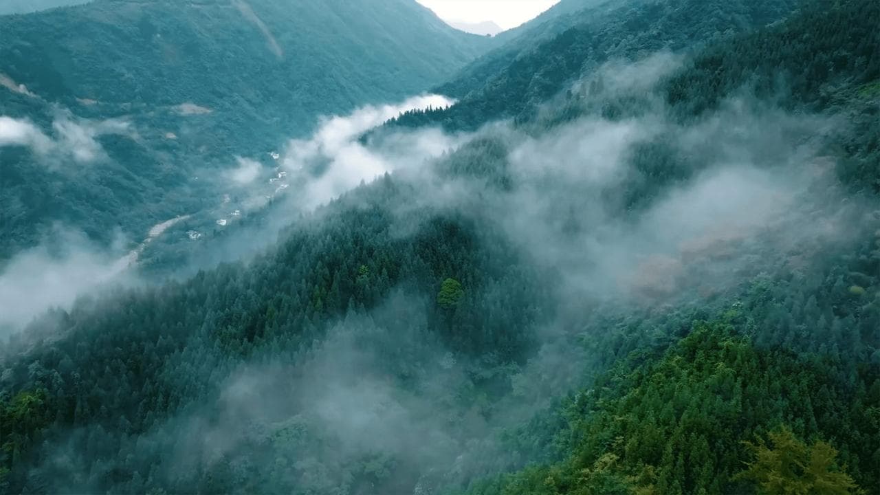 Documentation center background
